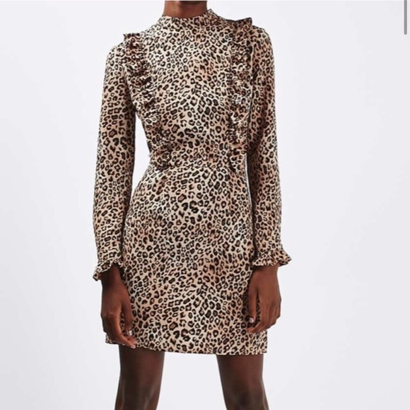 Topshop Petite Animal Print Ruffle Mini Dress - Picture 5 of 8